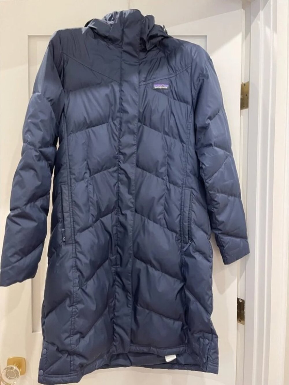 Patagonia Navy "Down With It" Parka